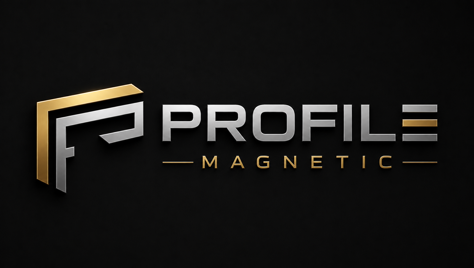 Profile Magnetic 1 (2)